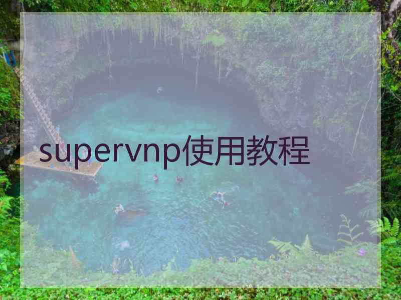 supervnp使用教程