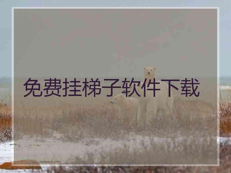 免费挂梯子软件下载