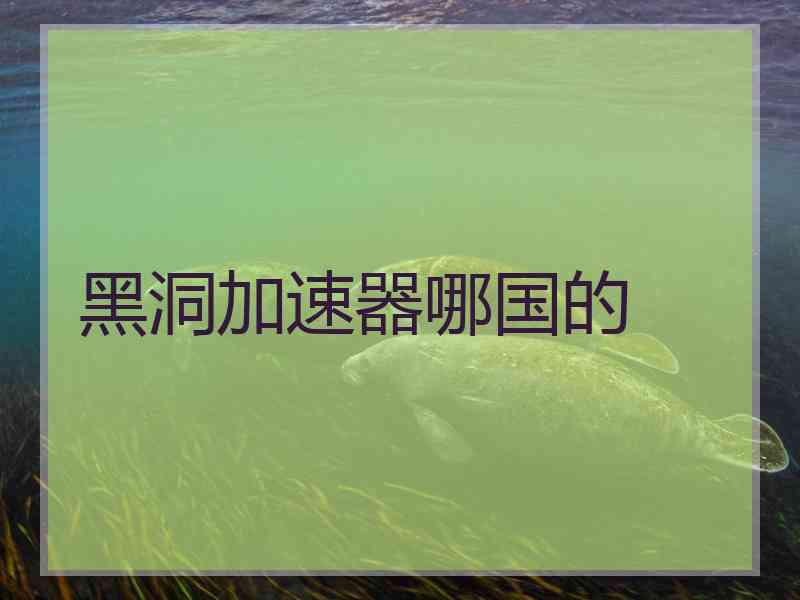 黑洞加速器哪国的