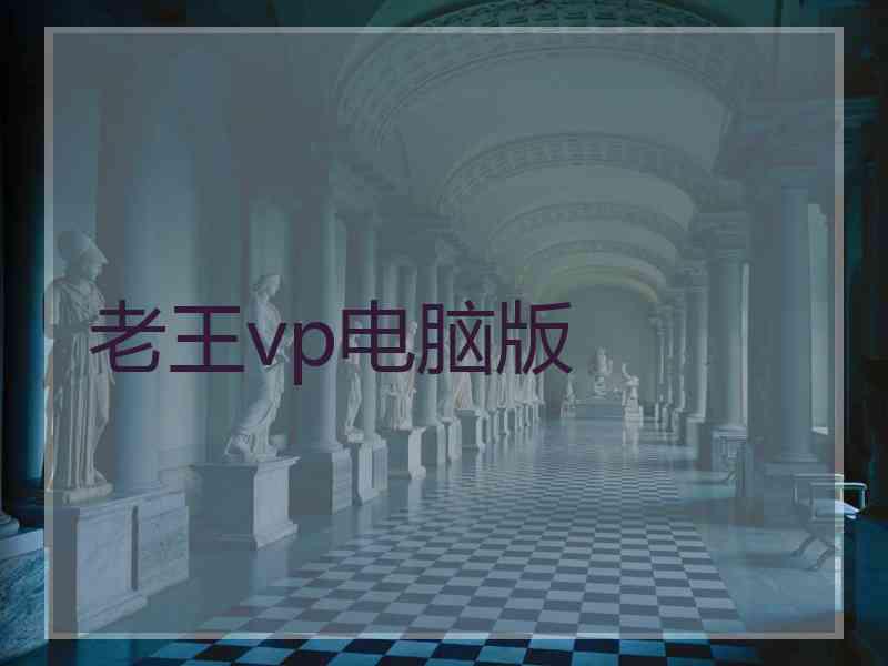 老王vp电脑版