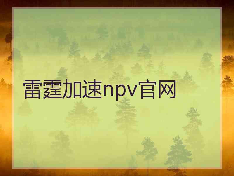 雷霆加速npv官网