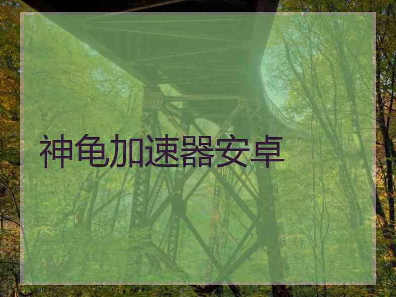 神龟加速器安卓