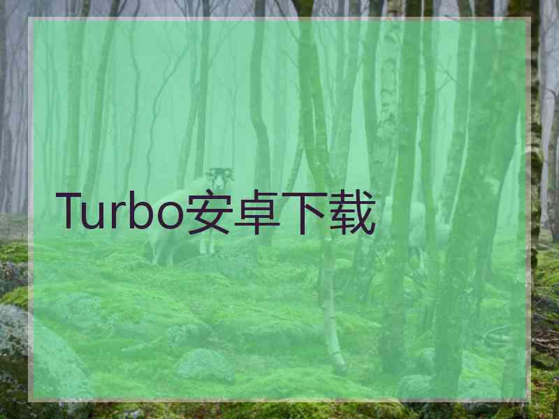 Turbo安卓下载