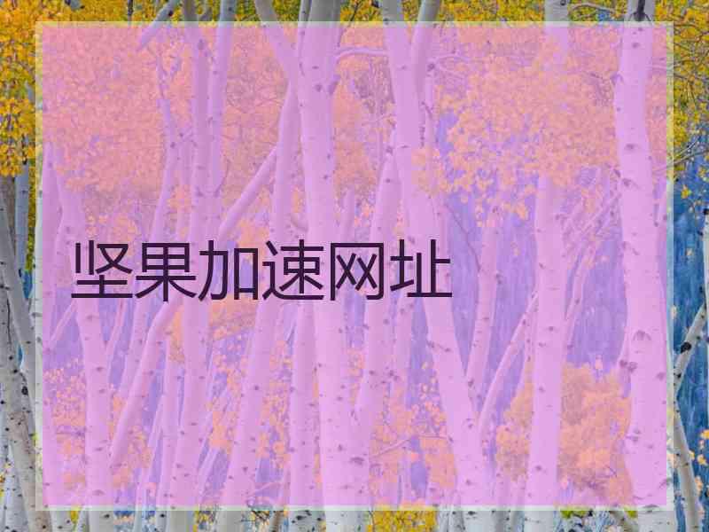 坚果加速网址