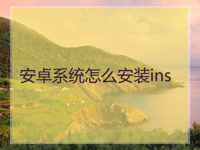 安卓系统怎么安装ins