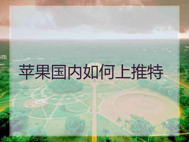 苹果国内如何上推特