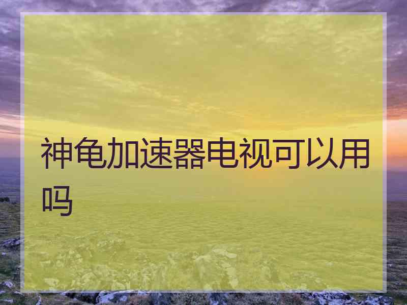 神龟加速器电视可以用吗