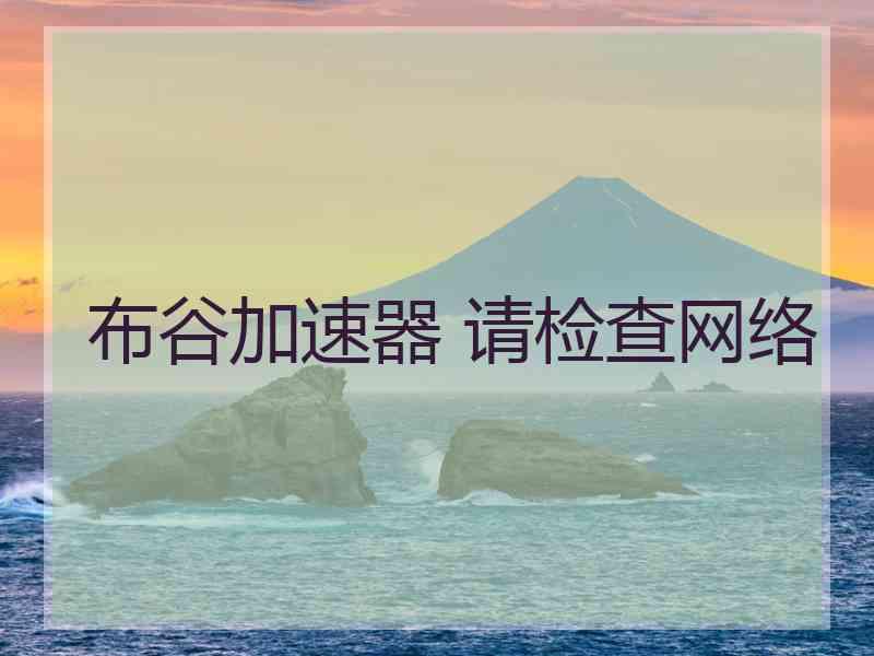 布谷加速器 请检查网络