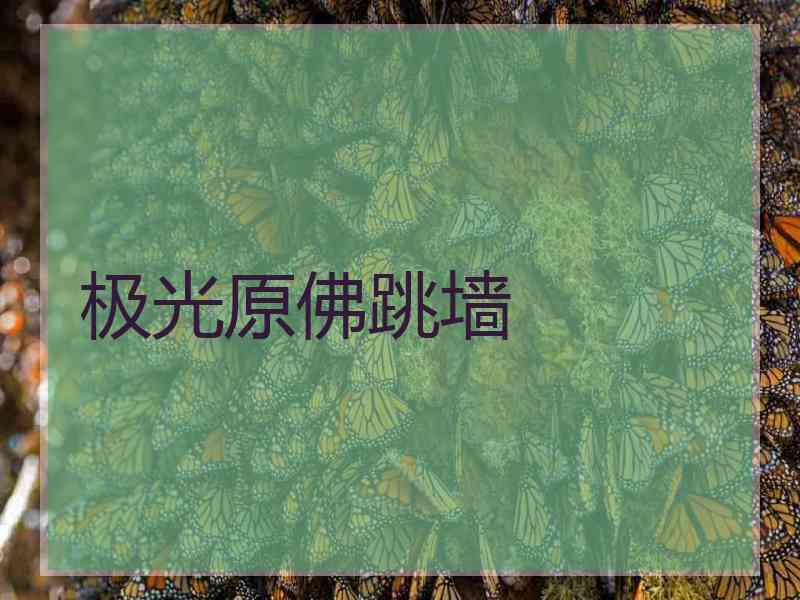 极光原佛跳墙