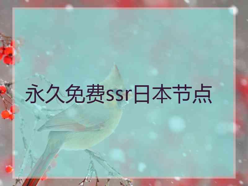 永久免费ssr日本节点