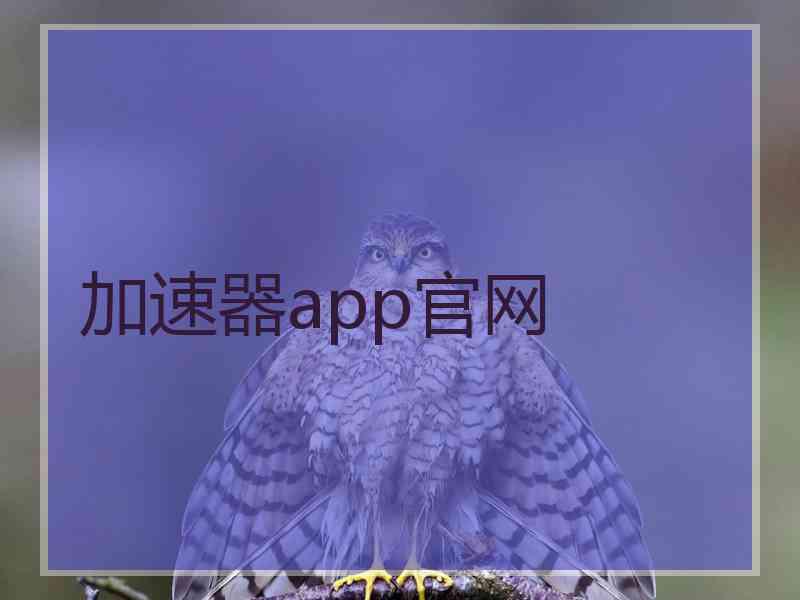 加速器app官网
