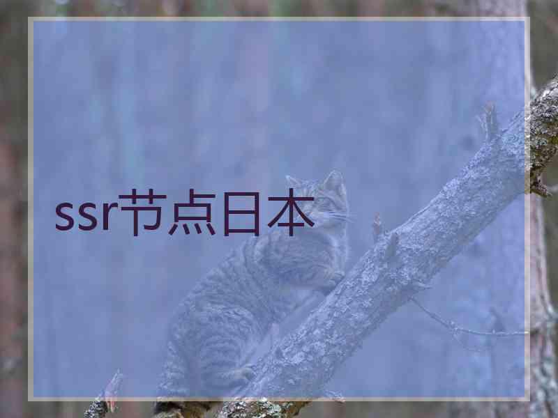 ssr节点日本