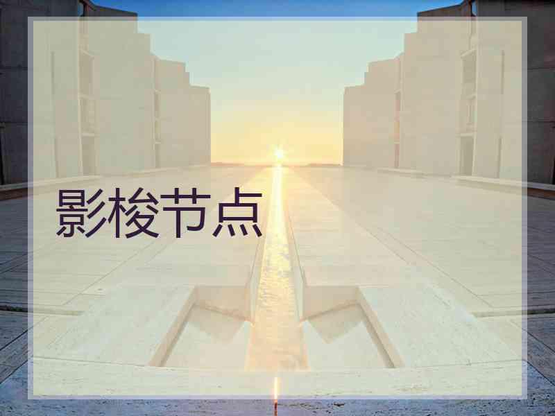 影梭节点