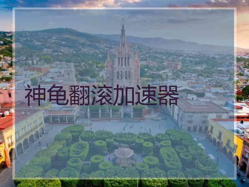 神龟翻滚加速器
