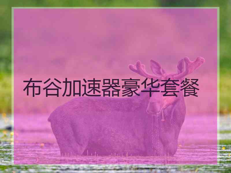 布谷加速器豪华套餐