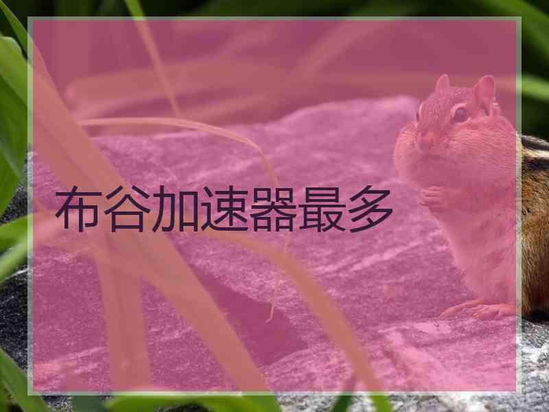 布谷加速器最多