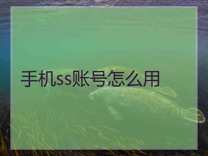 手机ss账号怎么用