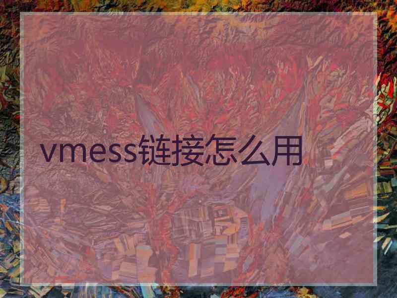 vmess链接怎么用