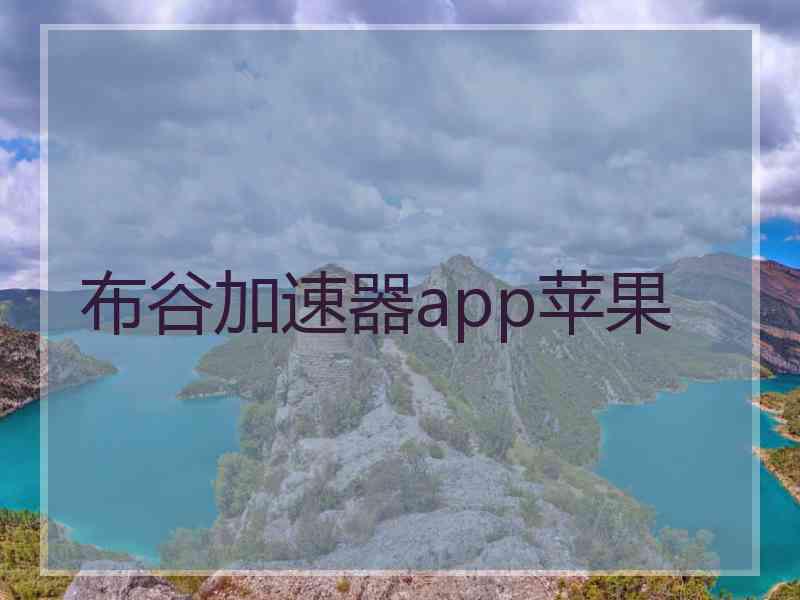 布谷加速器app苹果