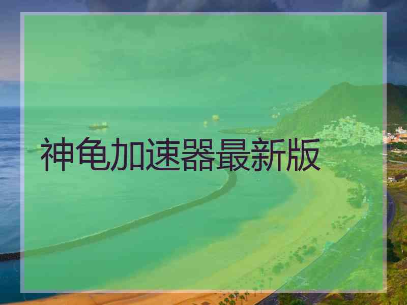神龟加速器最新版