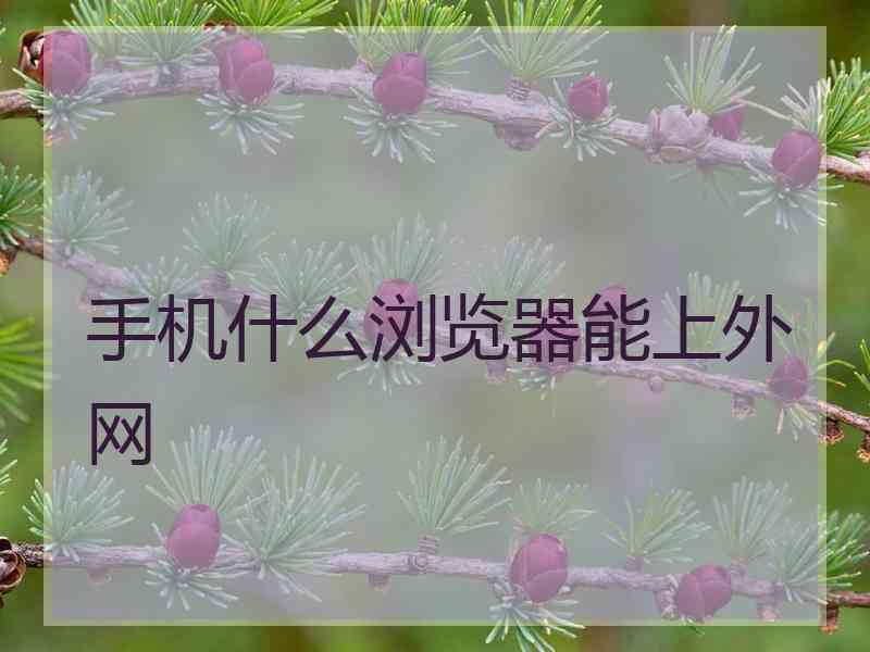 手机什么浏览器能上外网
