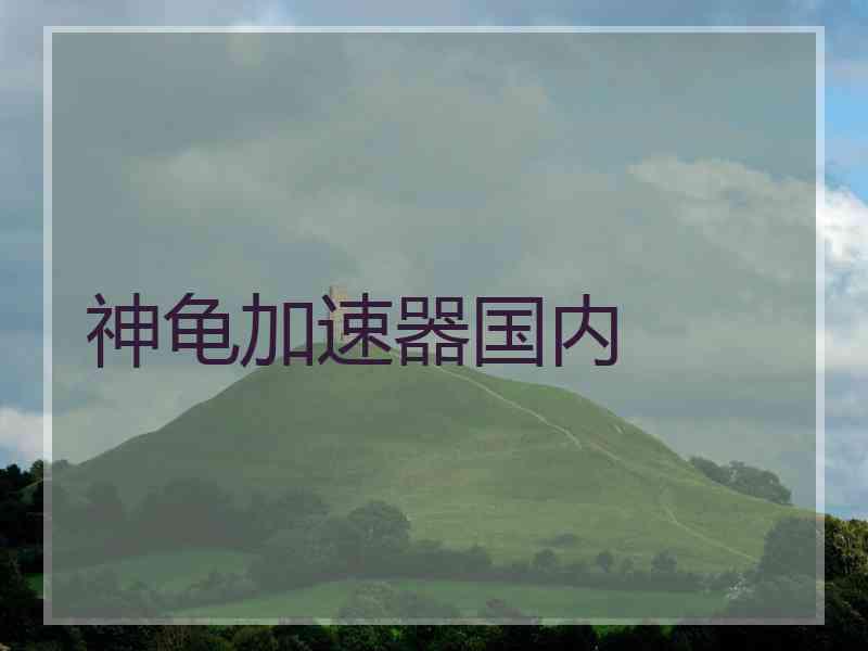 神龟加速器国内