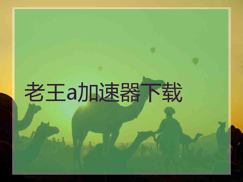 老王a加速器下载