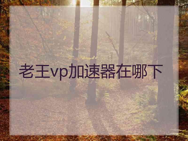 老王vp加速器在哪下