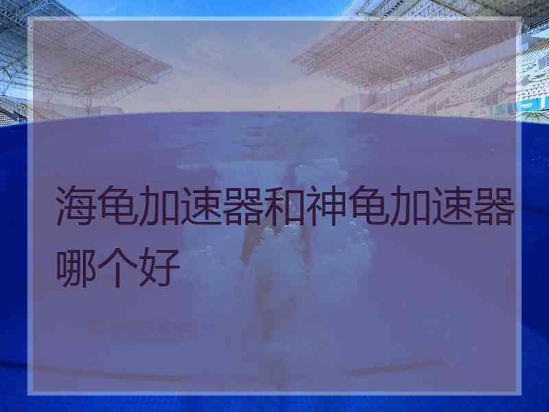 海龟加速器和神龟加速器哪个好