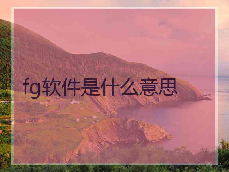 fg软件是什么意思