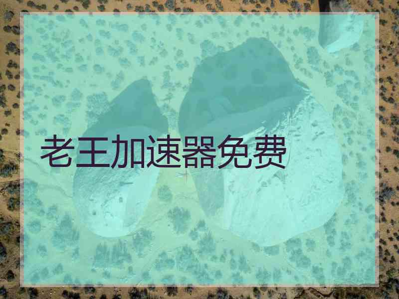 老王加速器免费