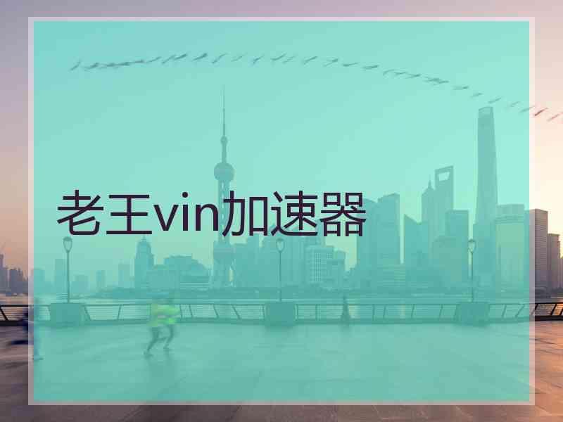 老王vin加速器