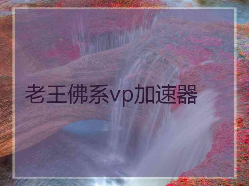 老王佛系vp加速器