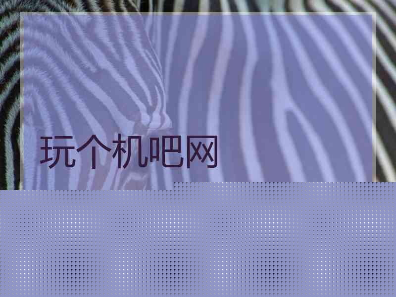 玩个机吧网