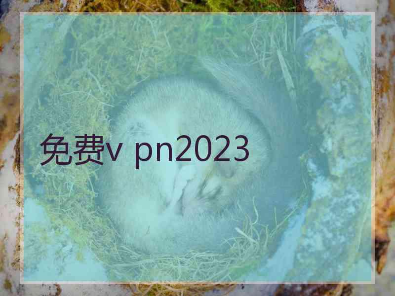 免费v pn2023