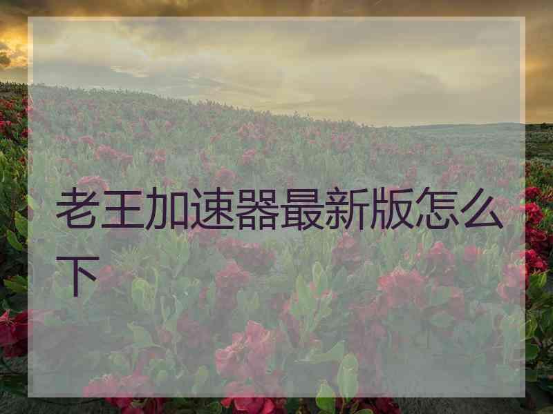 老王加速器最新版怎么下