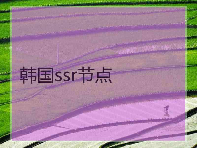 韩国ssr节点
