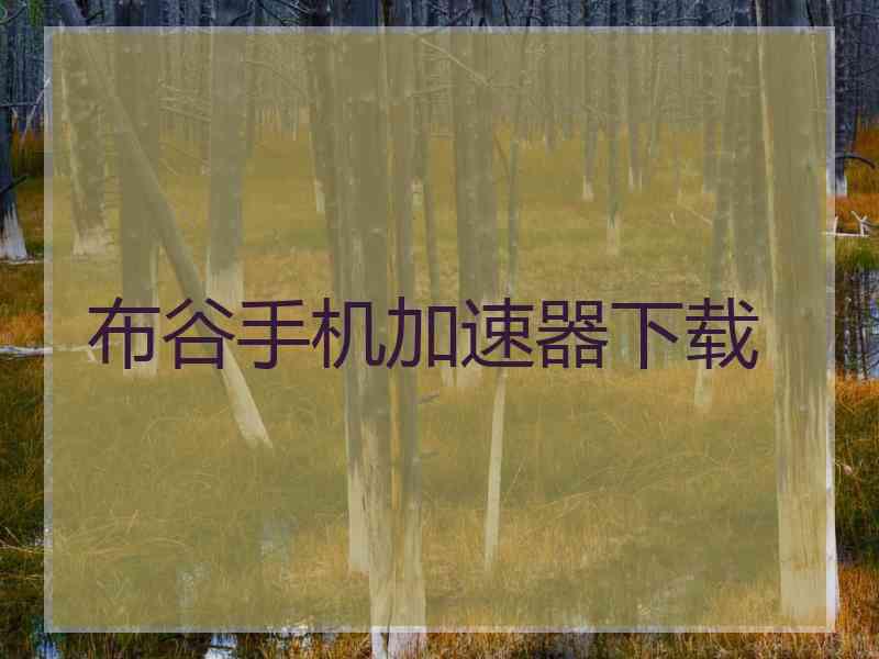 布谷手机加速器下载