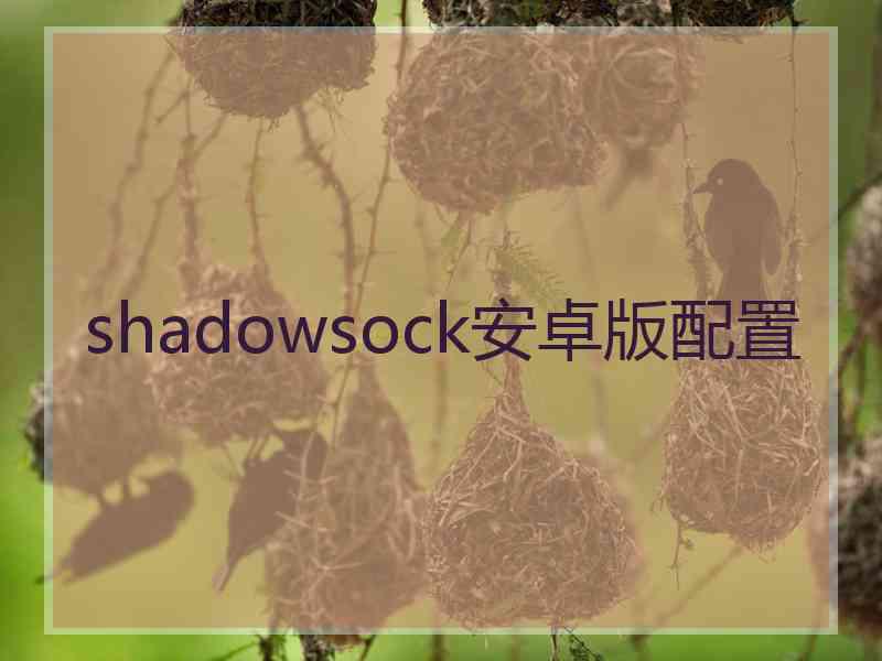 shadowsock安卓版配置