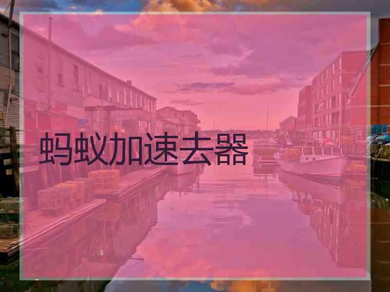蚂蚁加速去器