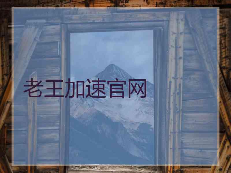 老王加速官网