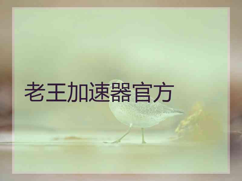 老王加速器官方