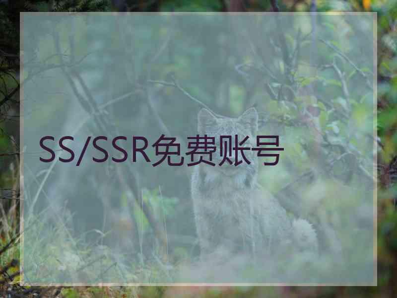 SS/SSR免费账号
