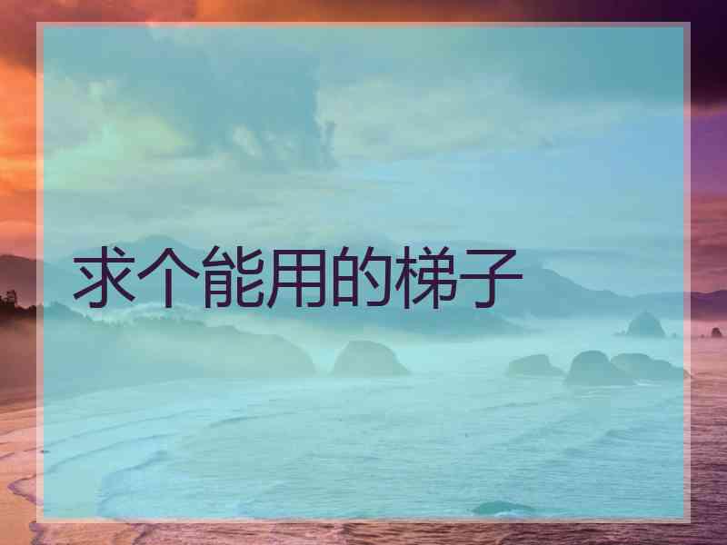 求个能用的梯子