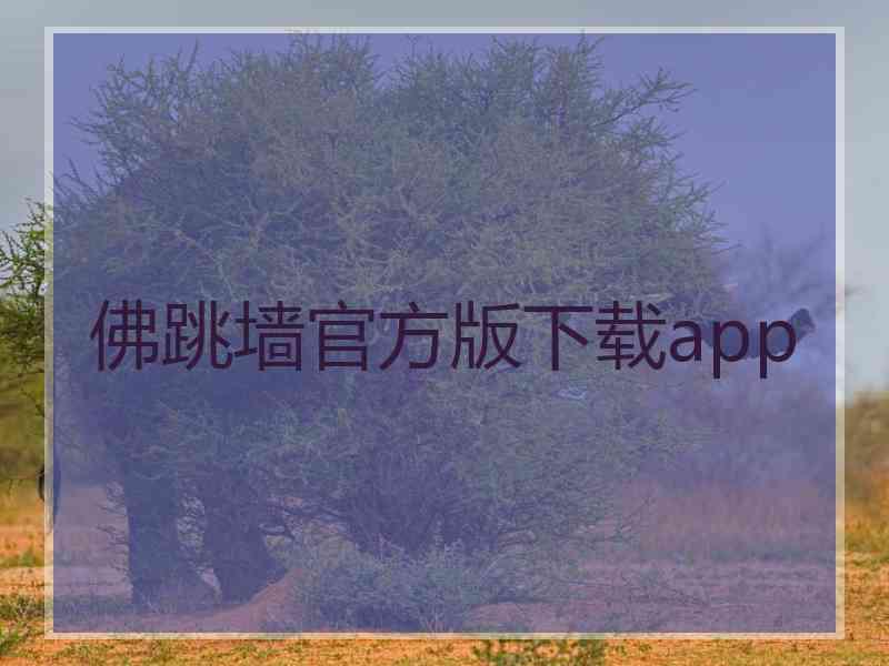 佛跳墙官方版下载app