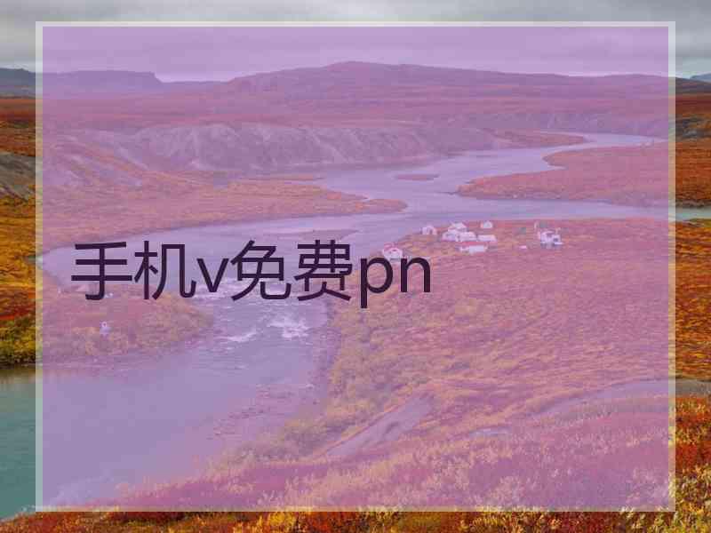 手机v免费pn