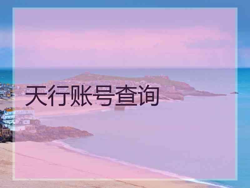 天行账号查询