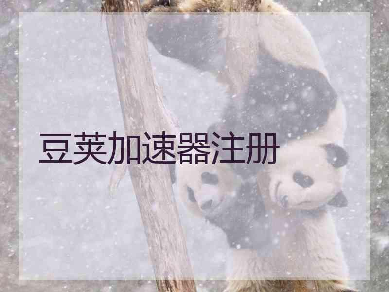 豆荚加速器注册