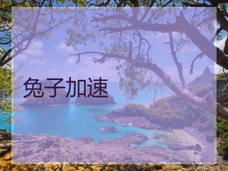 兔子加速