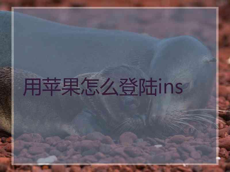 用苹果怎么登陆ins